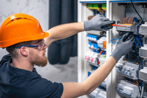 Best Electric Panel Repair  in Eslon, CA